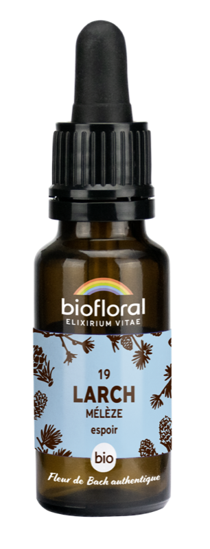Larch 19 bio 20ml - espoir - Fleur De Bach