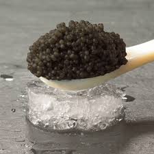 Caviar (sa)