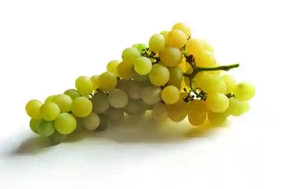 Raisin Blanc Vittoria - Kg