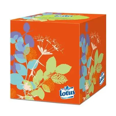 Mouchoirs Lotus blancs boite cube 