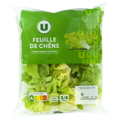Feuille de chêne blonde U