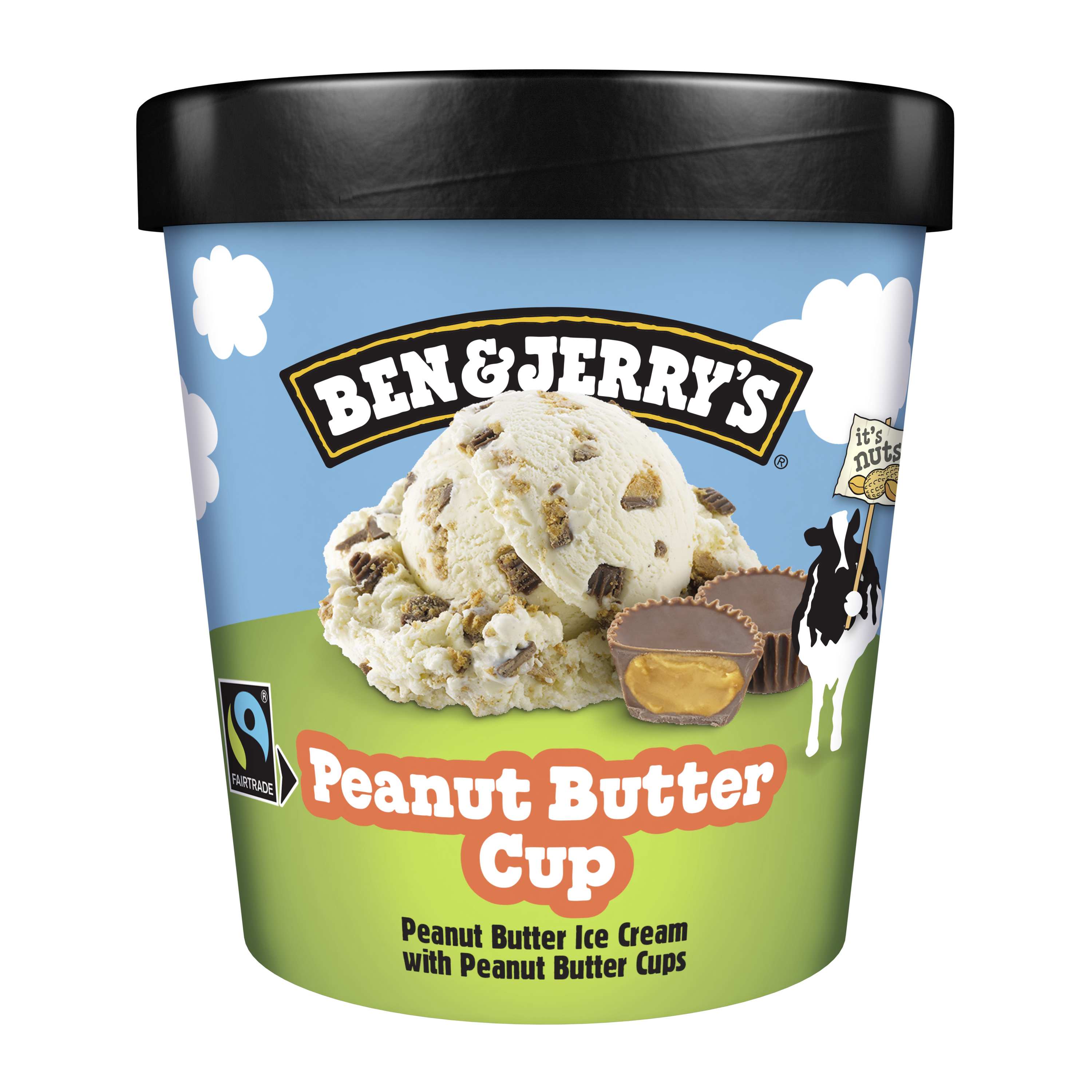 Ben & Jerry's Glace en Pot Peanut Butter Cup