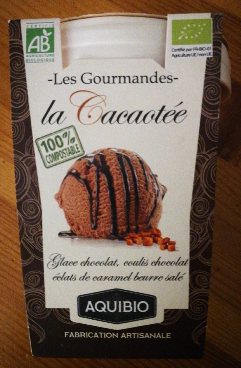 Crème glacée gourmande au chocolat 500g - Aquibio