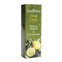 Dentifrice Solide - Sauge Citron - 17g