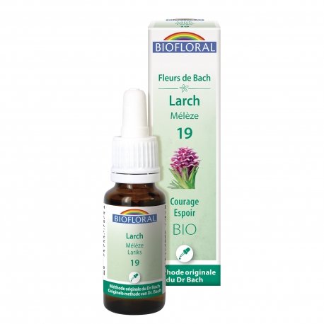 Larch 19 bio 20ml - Hope - Bach Flower