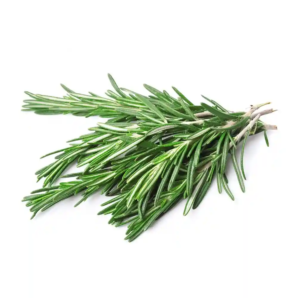 Rosemary - Boot